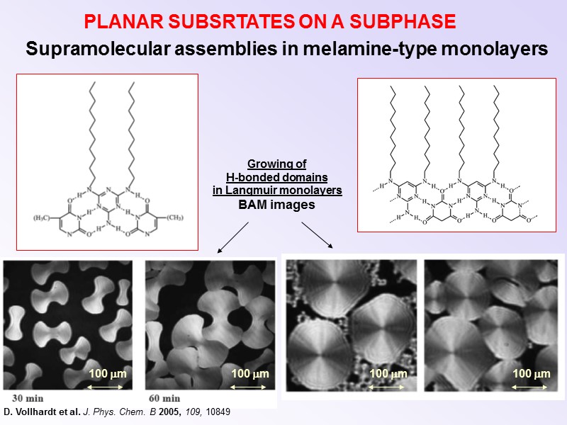 PLANAR SUBSRTATES ON A SUBPHASE Supramolecular assemblies in melamine-type monolayers D. Vollhardt et al.